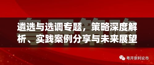 遴選與選調(diào)專題，策略深度解析、實(shí)踐案例分享與未來(lái)展望