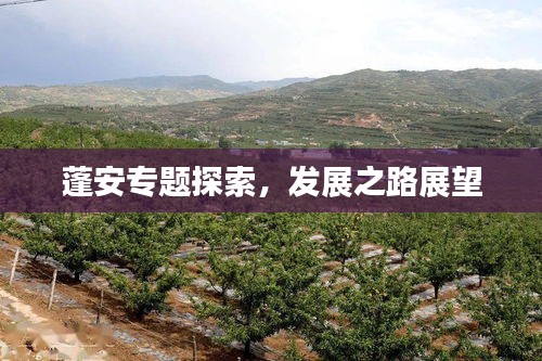 蓬安專題探索，發(fā)展之路展望