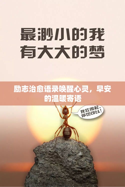 勵志治愈語錄喚醒心靈，早安的溫暖寄語