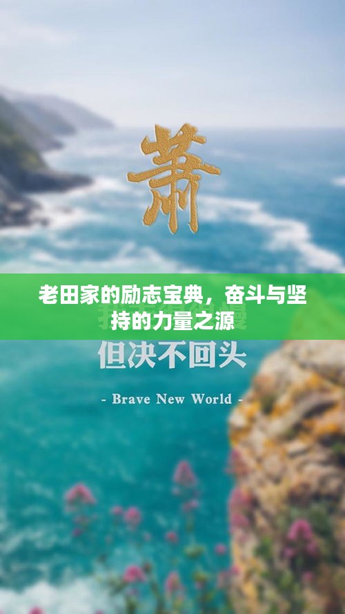 老田家的勵志寶典，奮斗與堅持的力量之源
