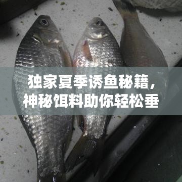 第360頁(yè)