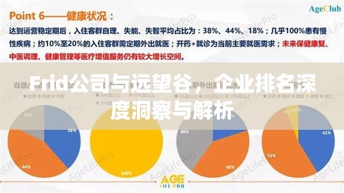 Frid公司與遠(yuǎn)望谷，企業(yè)排名深度洞察與解析