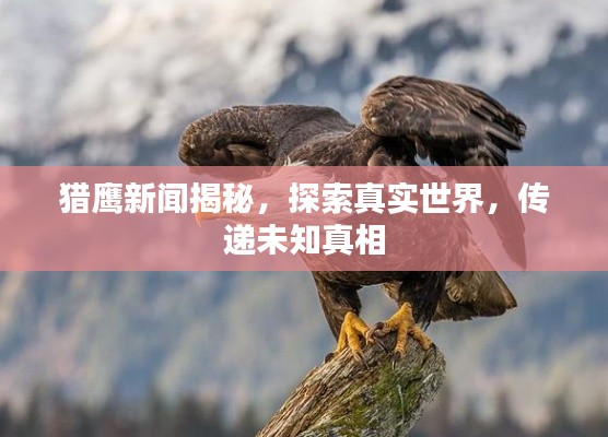 獵鷹新聞揭秘，探索真實(shí)世界，傳遞未知真相