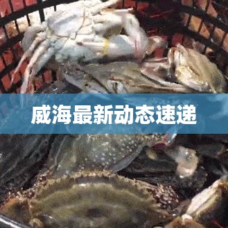第349頁