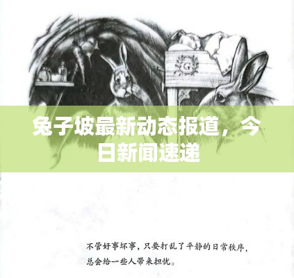 兔子坡最新動(dòng)態(tài)報(bào)道，今日新聞速遞