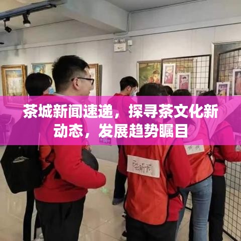 茶城新聞速遞，探尋茶文化新動態(tài)，發(fā)展趨勢矚目