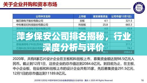 萍鄉(xiāng)保安公司排名揭秘，行業(yè)深度分析與評價