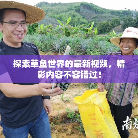 探索草魚世界的最新視頻，精彩內(nèi)容不容錯(cuò)過！
