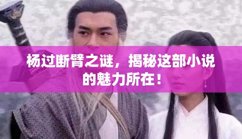 楊過斷臂之謎，揭秘這部小說的魅力所在！