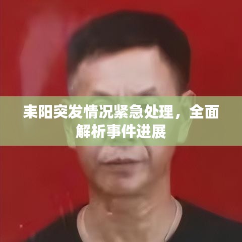 耒陽(yáng)突發(fā)情況緊急處理，全面解析事件進(jìn)展