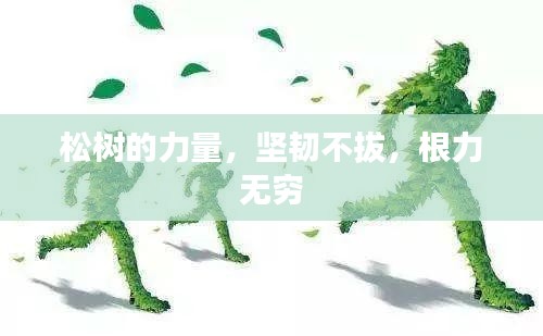 松樹的力量，堅韌不拔，根力無窮