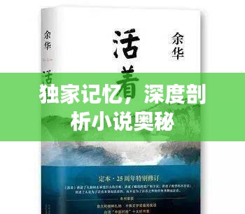 獨家記憶，深度剖析小說奧秘