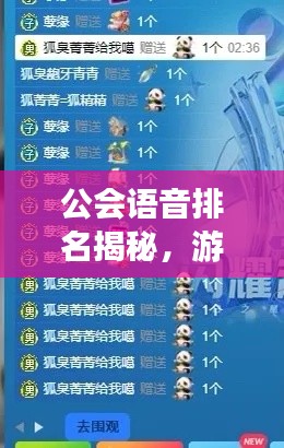 公會語音排名揭秘，游戲社交新潮流TOP10