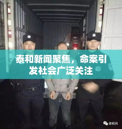 泰和新聞聚焦，命案引發(fā)社會廣泛關注