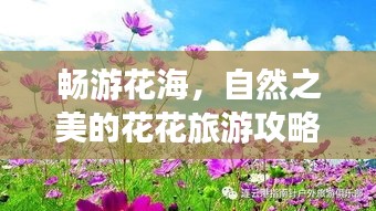 暢游花海，自然之美的花花旅游攻略大揭秘！
