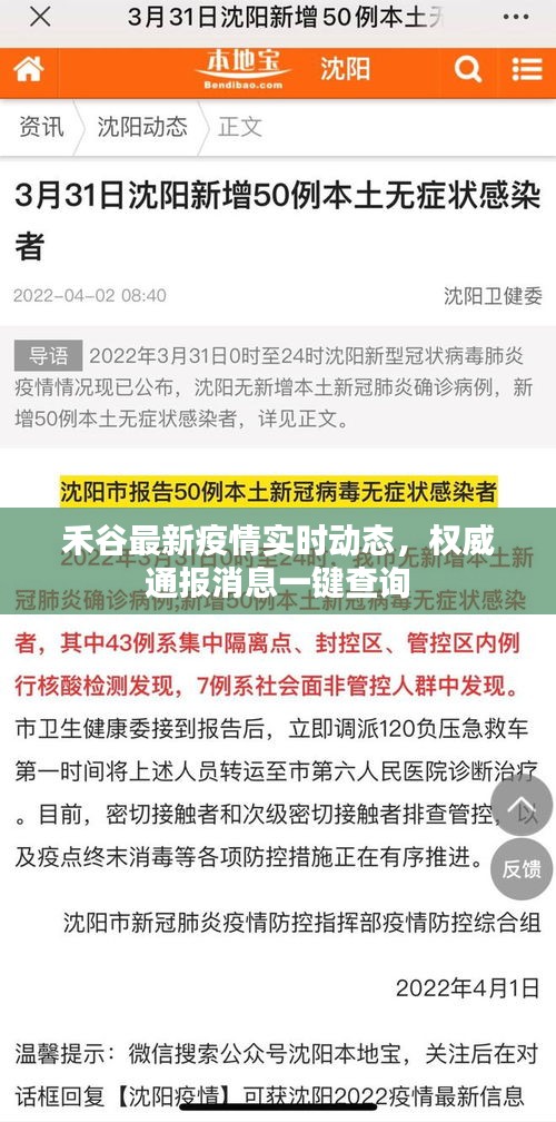 禾谷最新疫情實(shí)時(shí)動(dòng)態(tài)，權(quán)威通報(bào)消息一鍵查詢