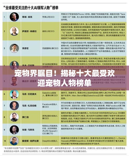 寵物界矚目！揭秘十大最受歡迎寵物人物榜單