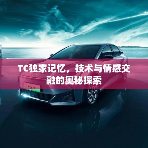 TC獨(dú)家記憶，技術(shù)與情感交融的奧秘探索