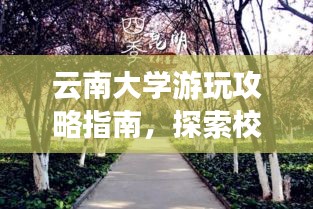云南大學(xué)游玩攻略指南，探索校園美景，體驗云南風(fēng)情