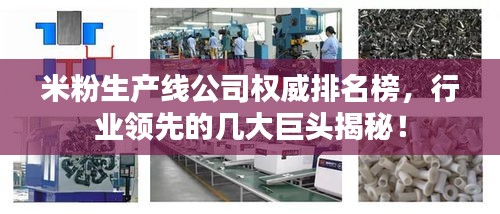 米粉生產線公司權威排名榜，行業(yè)領先的幾大巨頭揭秘！