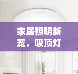 家居照明新寵，吸頂燈，你的首選！百度帶你探索更多選擇！