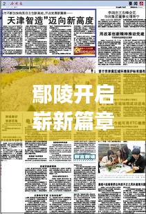 鄢陵開啟嶄新篇章，今日新聞頭條聚焦發(fā)展盛事
