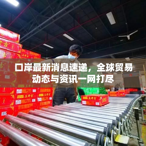 口岸最新消息速遞，全球貿(mào)易動態(tài)與資訊一網(wǎng)打盡