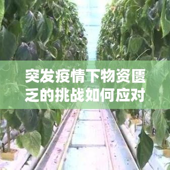 突發(fā)疫情下物資匱乏的挑戰(zhàn)如何應(yīng)對(duì)？
