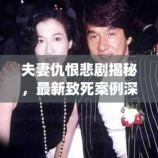 夫妻仇恨悲劇揭秘，最新致死案例深度剖析