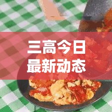 三高今日最新動態(tài)揭曉