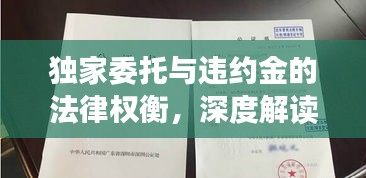 獨家委托與違約金的法律權(quán)衡，深度解讀法律細(xì)節(jié)