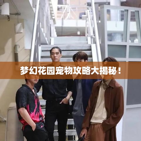 夢幻花園寵物攻略大揭秘！