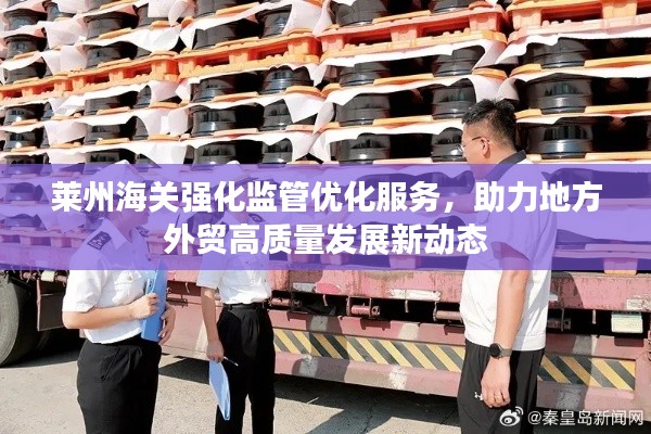 萊州海關強化監(jiān)管優(yōu)化服務，助力地方外貿(mào)高質量發(fā)展新動態(tài)