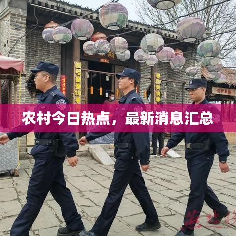 農村今日熱點，最新消息匯總