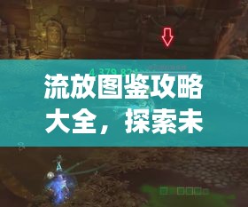 流放圖鑒攻略大全，探索未知領域，最新版攻略助你暢游游戲世界！