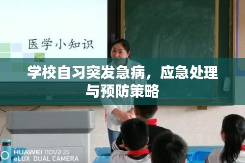 學(xué)校自習(xí)突發(fā)急病，應(yīng)急處理與預(yù)防策略