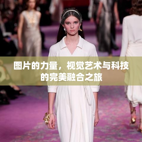 圖片的力量，視覺藝術(shù)與科技的完美融合之旅