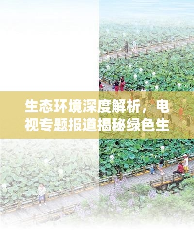 生態(tài)環(huán)境深度解析，電視專題報(bào)道揭秘綠色生態(tài)發(fā)展之路