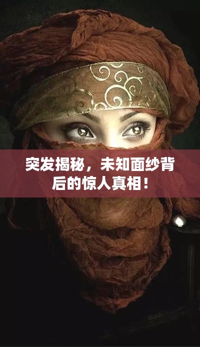 突發(fā)揭秘，未知面紗背后的驚人真相！