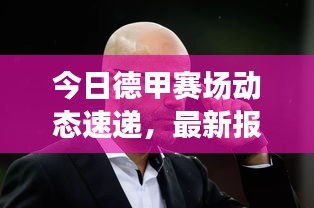 今日德甲賽場動態(tài)速遞，最新報(bào)價(jià)與球員轉(zhuǎn)會傳聞大揭秘