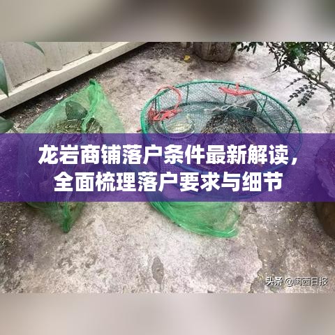 龍巖商鋪落戶條件最新解讀，全面梳理落戶要求與細節(jié)