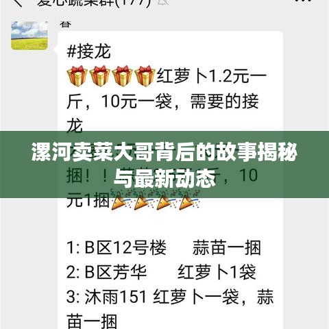 漯河賣菜大哥背后的故事揭秘與最新動態(tài)