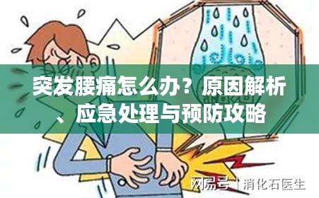 突發(fā)腰痛怎么辦？原因解析、應(yīng)急處理與預(yù)防攻略