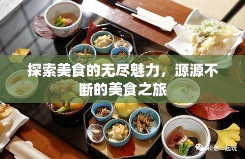 2025年2月8日