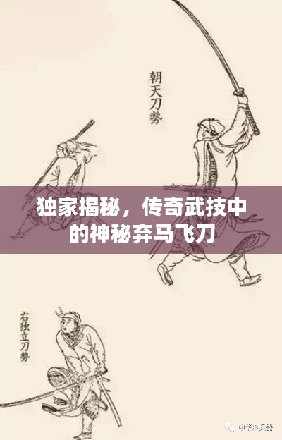 獨(dú)家揭秘，傳奇武技中的神秘棄馬飛刀