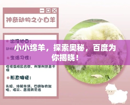 小小綿羊，探索奧秘，百度為你揭曉！