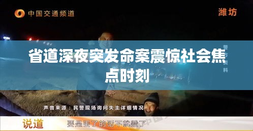 省道深夜突發(fā)命案震驚社會焦點(diǎn)時(shí)刻