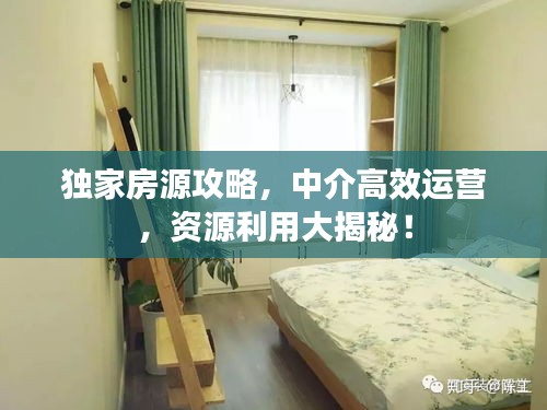 獨(dú)家房源攻略，中介高效運(yùn)營(yíng)，資源利用大揭秘！