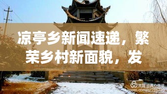 2025年2月9日