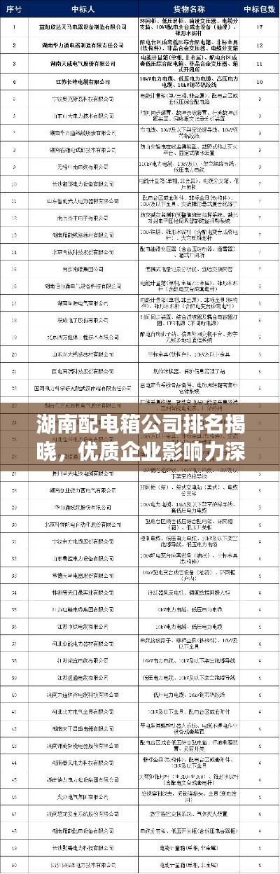 湖南配電箱公司排名揭曉，優(yōu)質(zhì)企業(yè)影響力深度解析